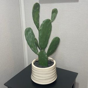 Faux Cactus